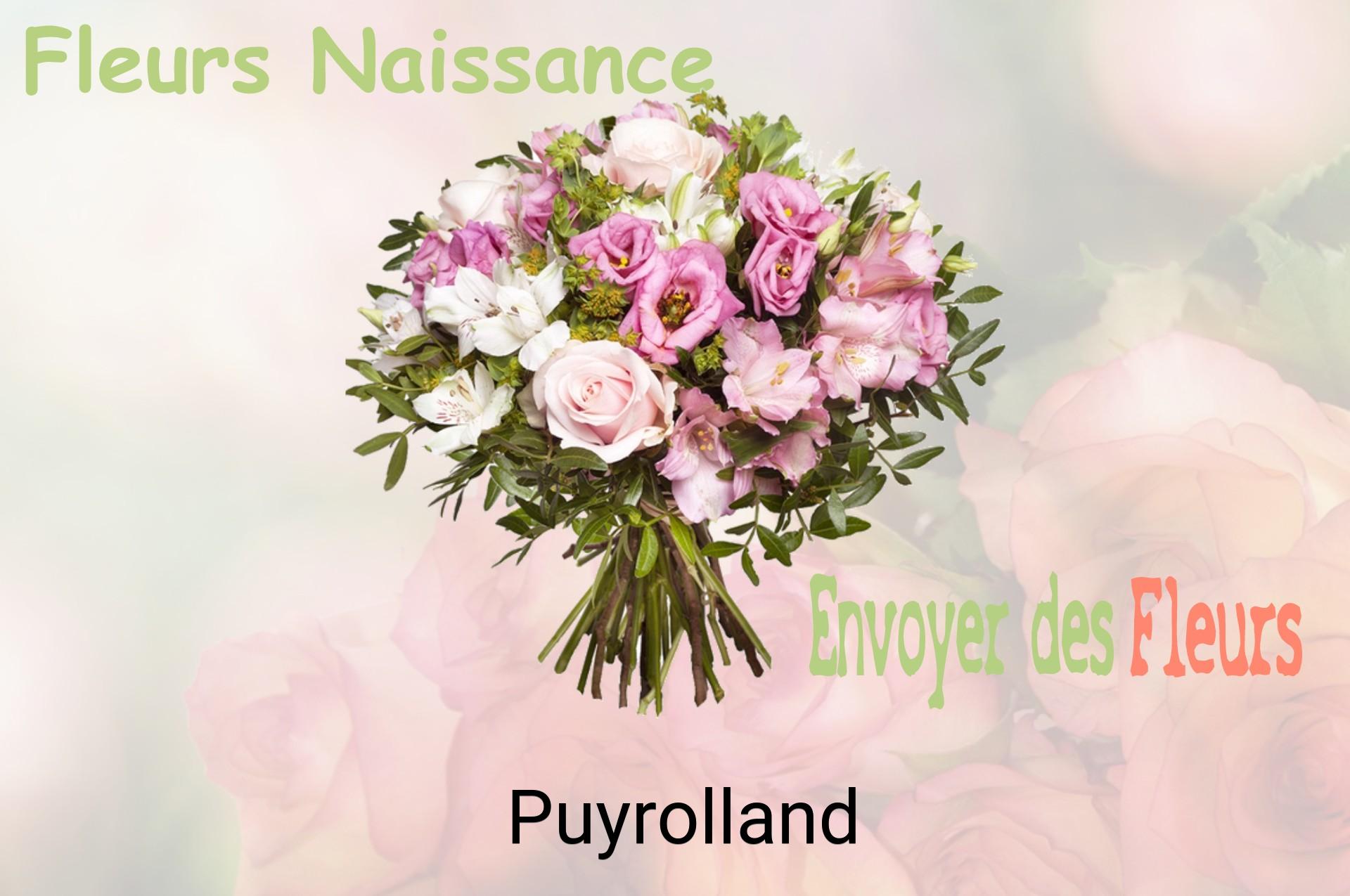 Bouquet de fleurs de naissance livré à Puyrolland